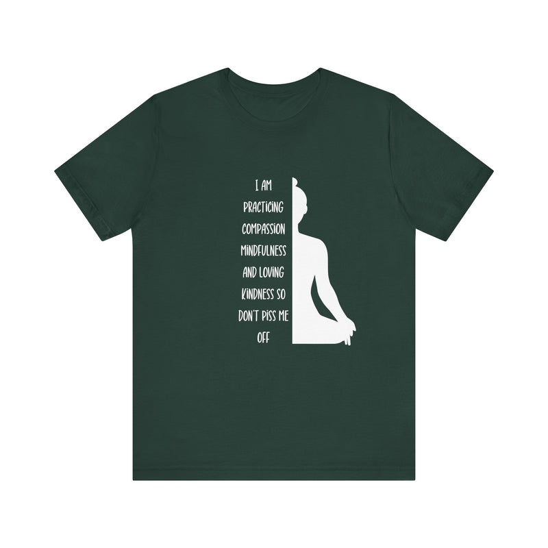 I Am Practicing....Unisex Jersey Short Sleeve Tee
