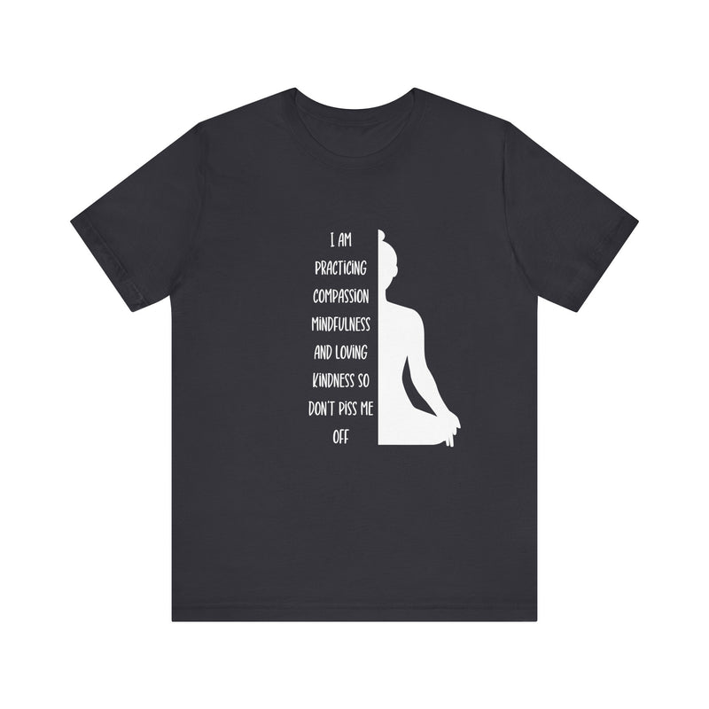 I Am Practicing....Unisex Jersey Short Sleeve Tee