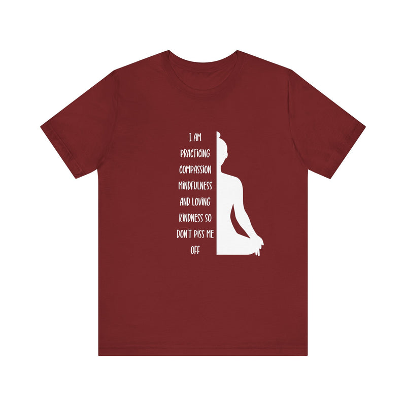 I Am Practicing....Unisex Jersey Short Sleeve Tee