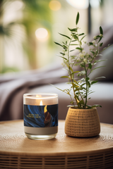 Burn The Stress Away - Scented Soy Candle, 9oz